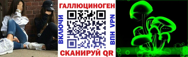 Псилоцибиновые грибы Cubensis  Купить где  Верещагино 